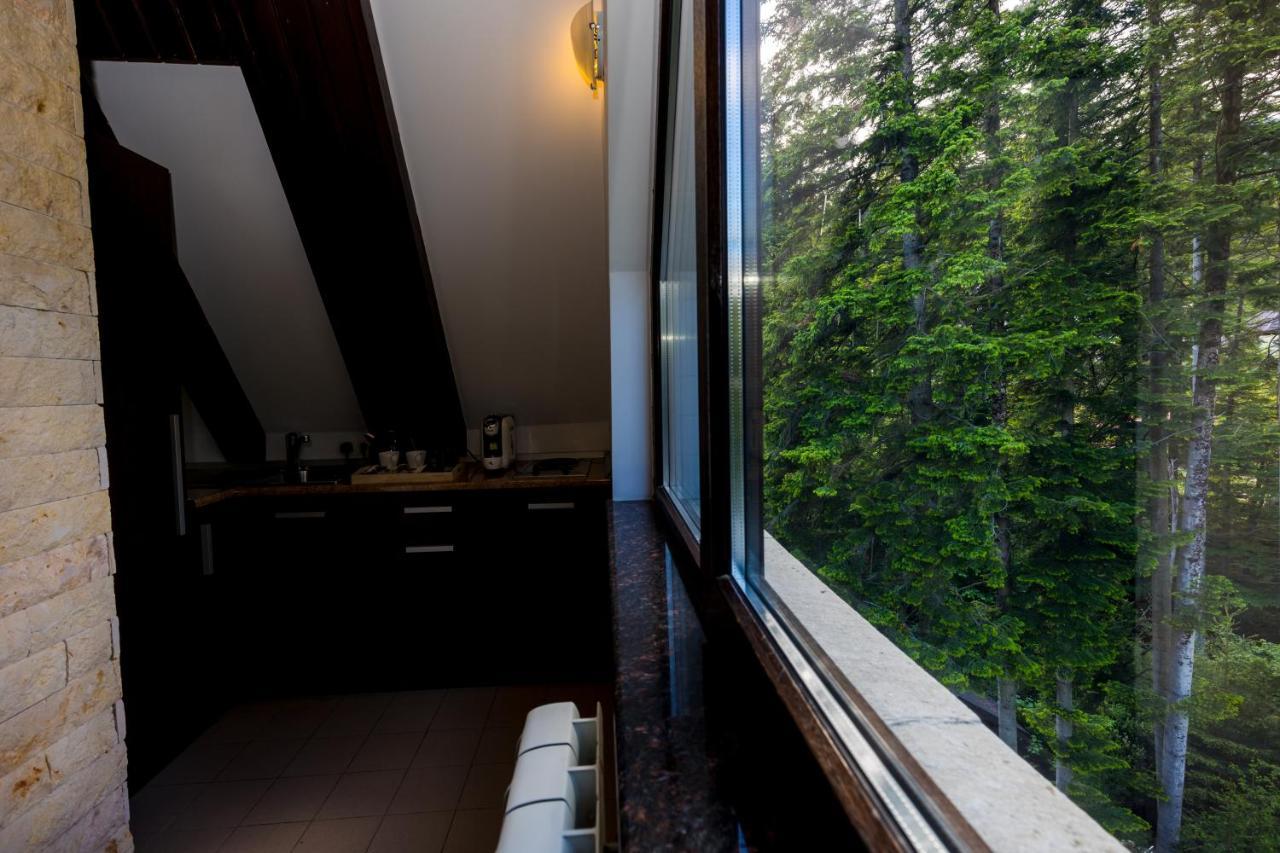 Hotel Smart Sinaia Exteriér fotografie