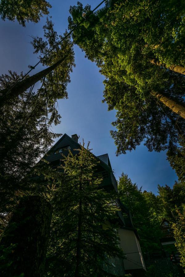 Hotel Smart Sinaia Exteriér fotografie
