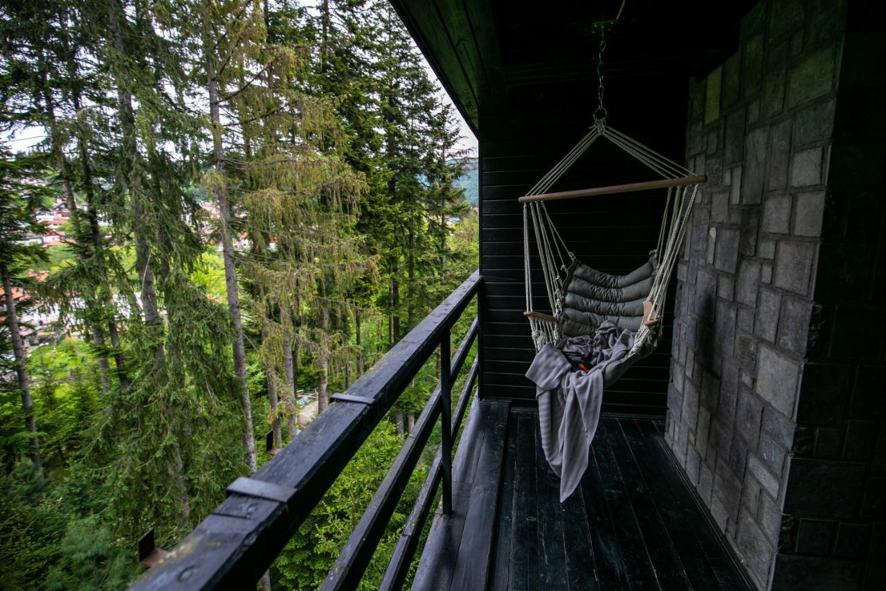 Hotel Smart Sinaia Exteriér fotografie