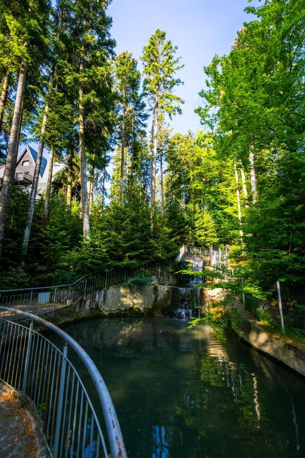 Hotel Smart Sinaia Exteriér fotografie