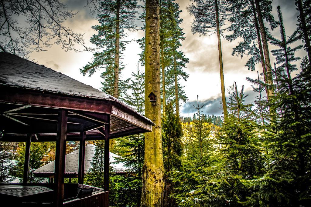 Hotel Smart Sinaia Exteriér fotografie