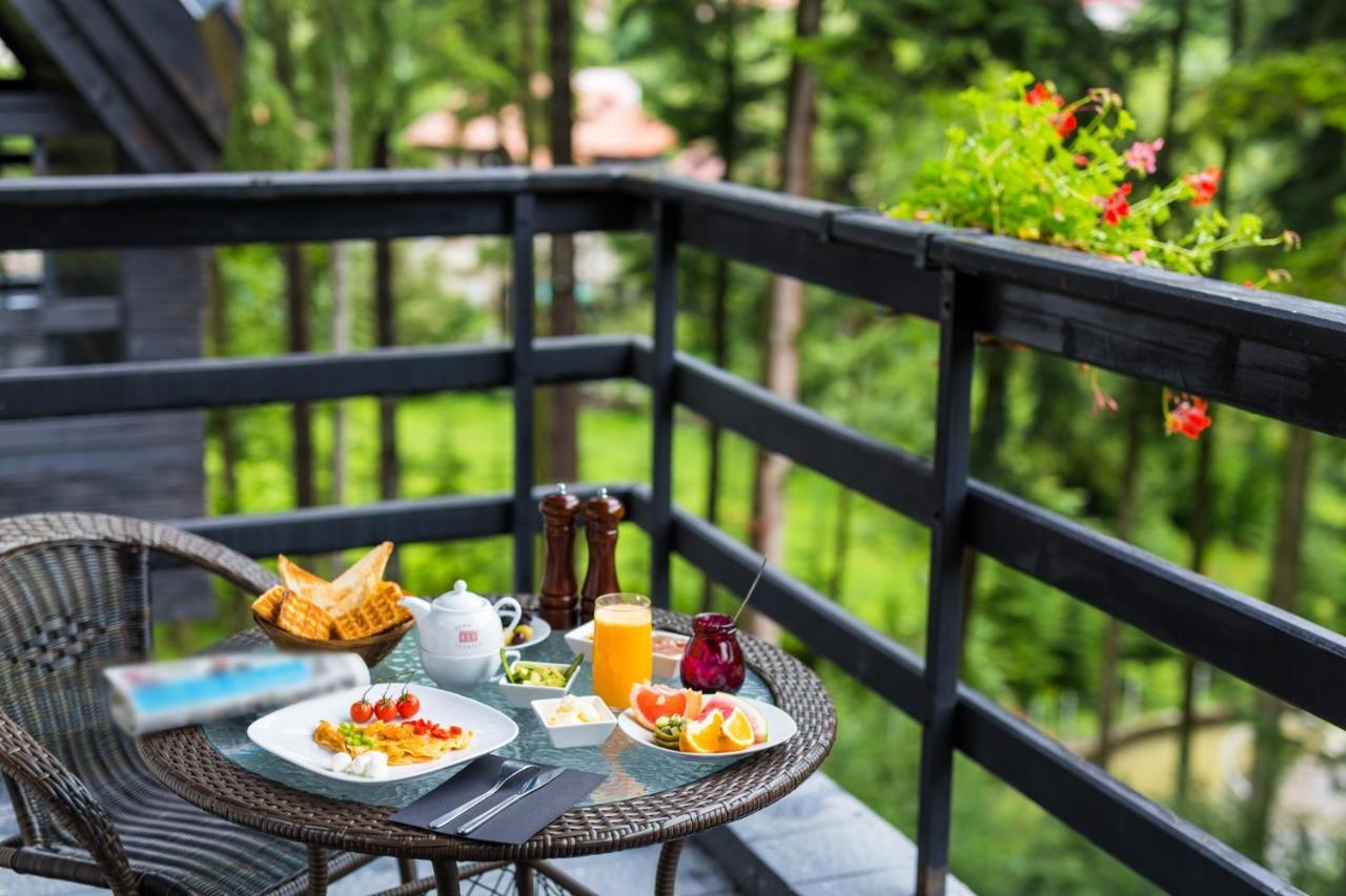 Hotel Smart Sinaia Exteriér fotografie